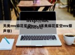 天美mv麻花星空mv（天美麻花星空mv原声带）